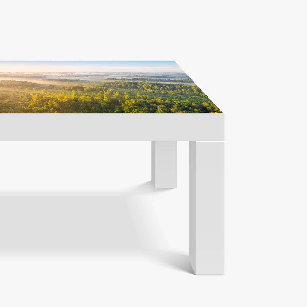 Naklejka na biurko i stół mglista poranna w bagnie Zvanets – Wallissimo® Naklejka na biurko i stół mglista poranna w bagnie Zvanets – Wallissimo®