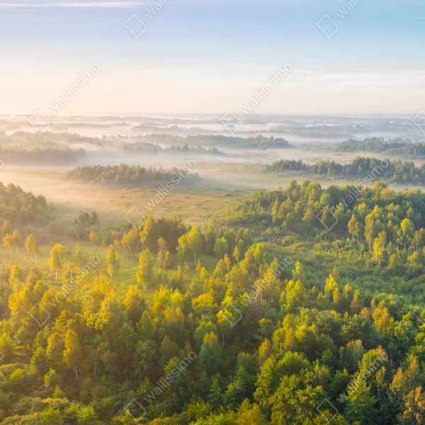 Naklejka na biurko i stół mglista poranna w bagnie Zvanets – Wallissimo® Naklejka na biurko i stół mglista poranna w bagnie Zvanets – Wallissimo®