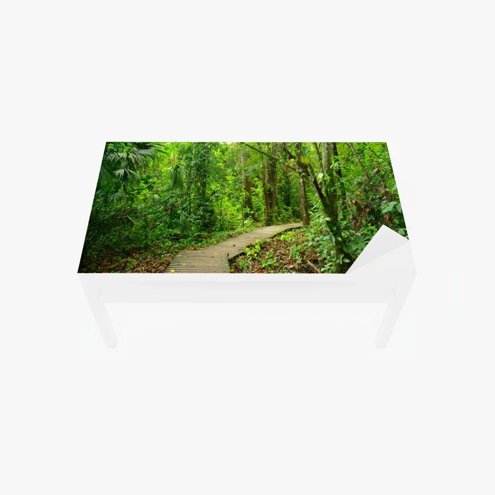 Naklejka na biurko i stół tropikalna kładka w bujnym lesie – Wallissimo® Naklejka na biurko i stół tropikalna kładka w bujnym lesie – Wallissimo®