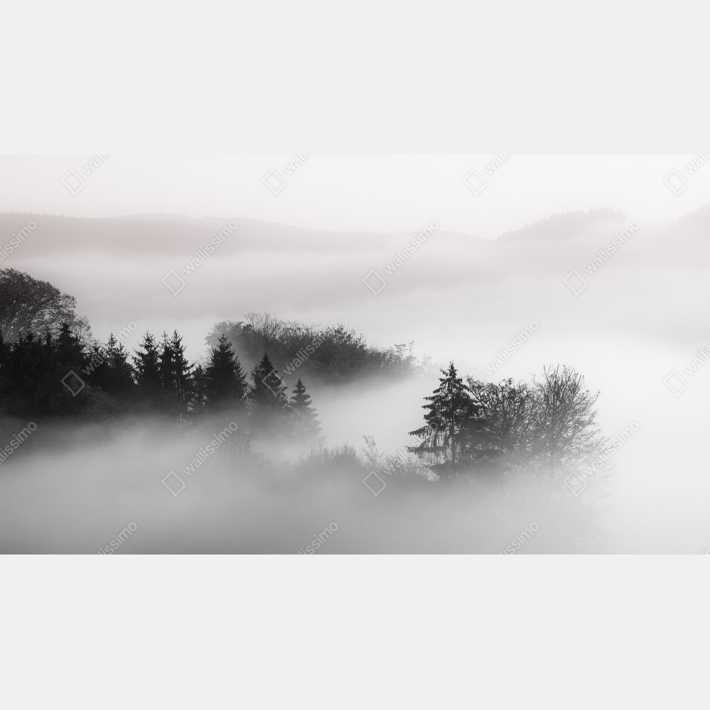Naklejka na biurko i stół mglisty las w odcieniach szarości – Wallissimo® Naklejka na biurko i stół mglisty las w odcieniach szarości – Wallissimo®