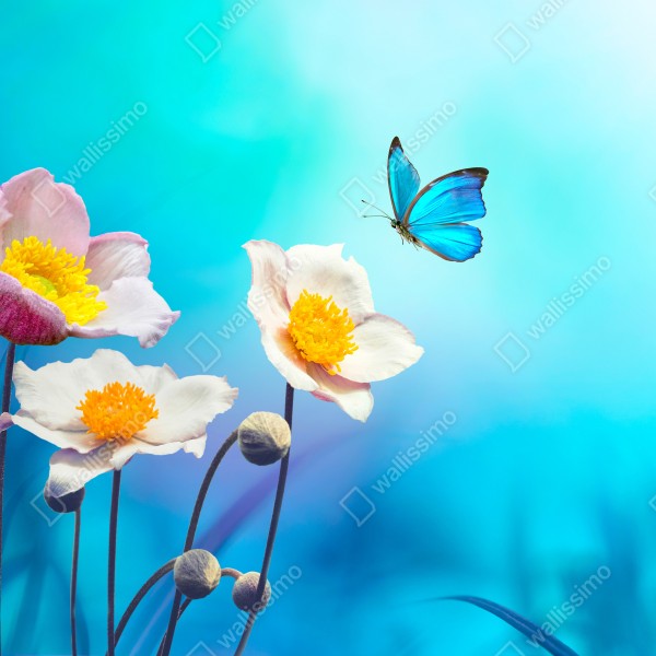 Naklejka na biurko i stół delikatne różowe anemony i niebieski motyl – Wallissimo® Naklejka na biurko i stół delikatne różowe anemony i niebieski motyl – Wallissimo®