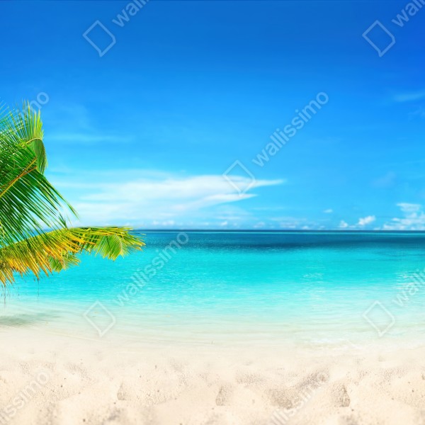 Naklejka na biurko i stół Malediwy turkusowa plaża panorama – Wallissimo® Naklejka na biurko i stół Malediwy turkusowa plaża panorama – Wallissimo®