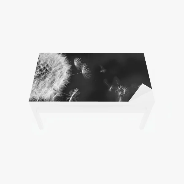 Naklejka na biurko i stół unoszące się nasiona mniszka