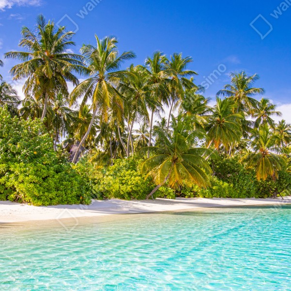 Naklejka na biurko i stół tropikalna plaża z palmami – Wallissimo® Naklejka na biurko i stół tropikalna plaża z palmami – Wallissimo®