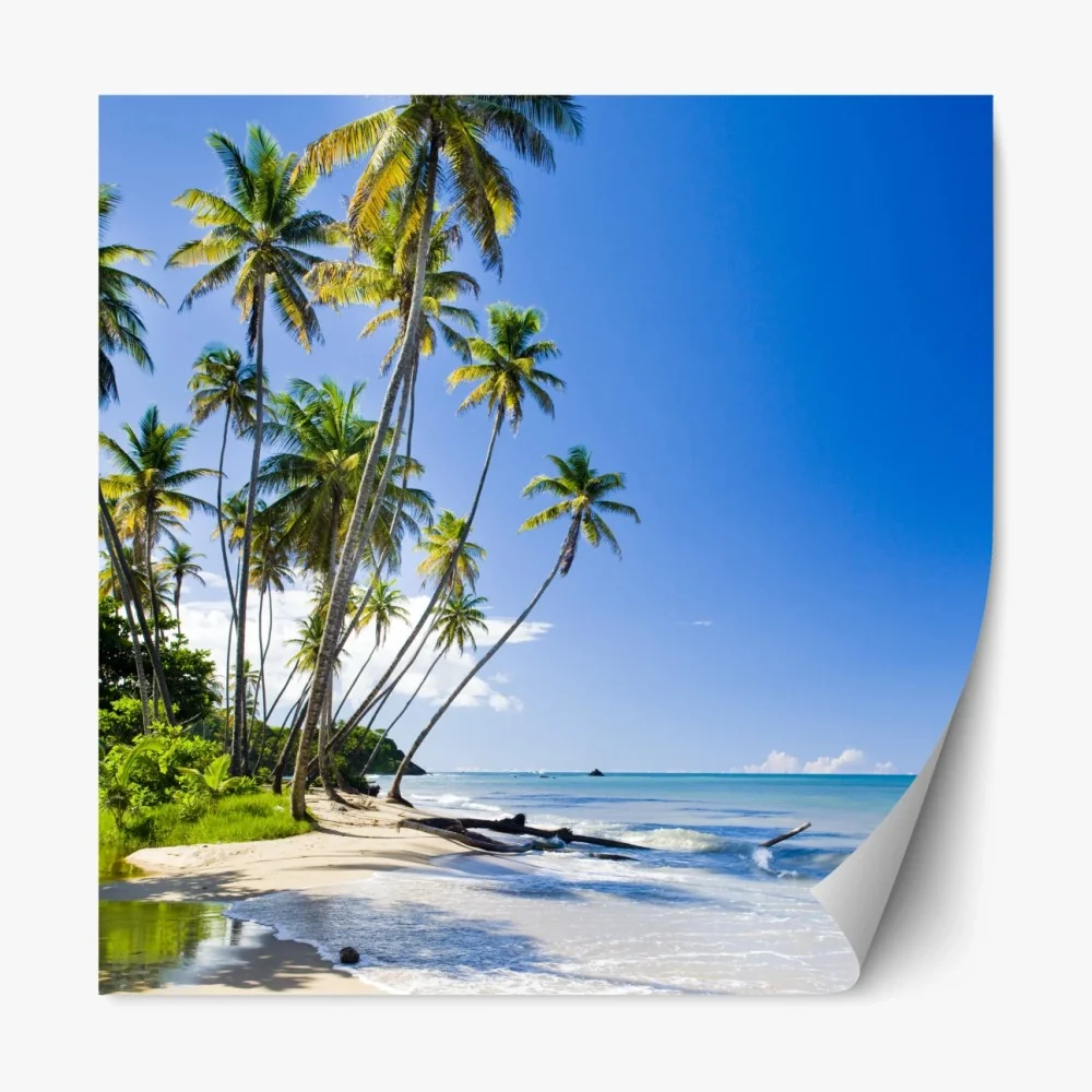 Naklejka repozycjonowalna tropikalna plaża z palmami pod błękitnym niebem – Wallissimo® Naklejka repozycjonowalna tropikalna plaża z palmami pod błękitnym niebem – Wallissimo®