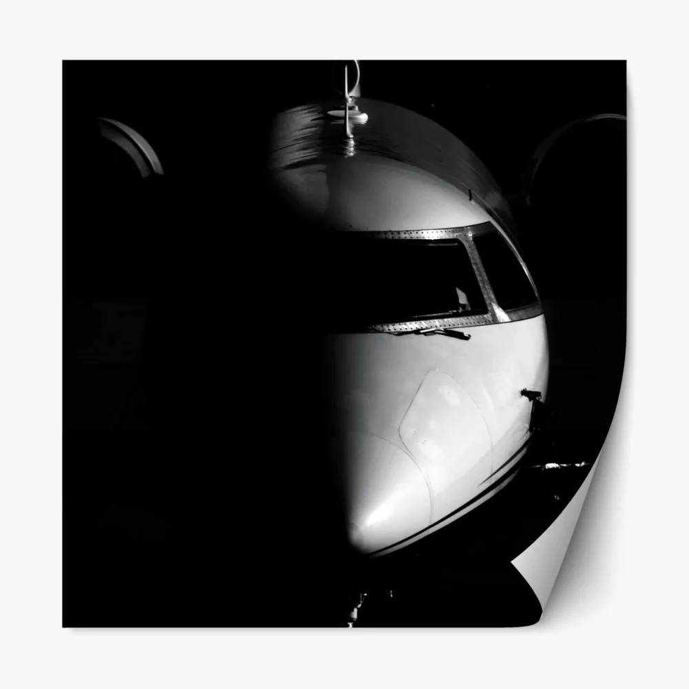 Naklejka repozycjonowalna monochromatyczny portret nosa odrzutowca – Wallissimo® Naklejka repozycjonowalna monochromatyczny portret nosa odrzutowca – Wallissimo®