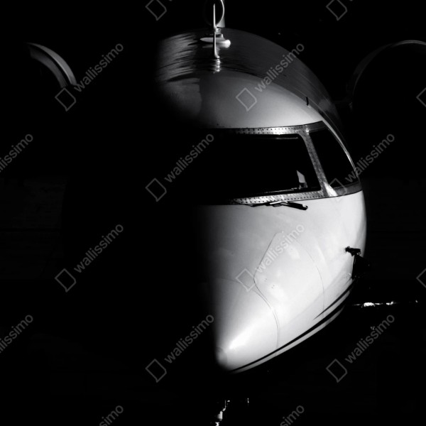 Naklejka repozycjonowalna monochromatyczny portret nosa odrzutowca – Wallissimo® Naklejka repozycjonowalna monochromatyczny portret nosa odrzutowca – Wallissimo®