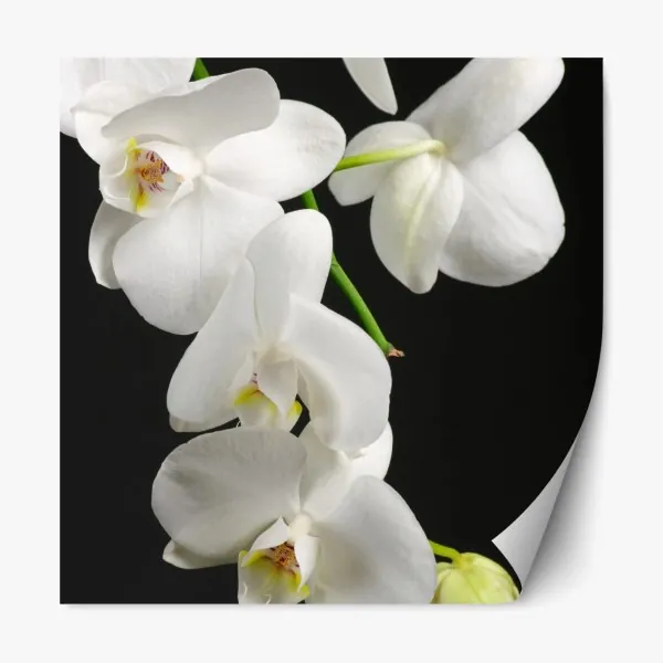 Naklejka repozycjonowalna ciepły wzór drewnianych lameli na ścianę – Wallissimo®