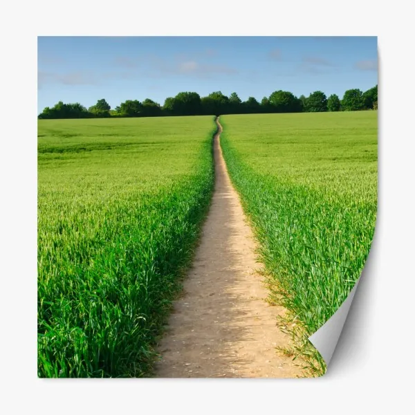 Naklejka repozycjonowalna białe zbliżenie stokrotki na czarnym tle – Wallissimo®