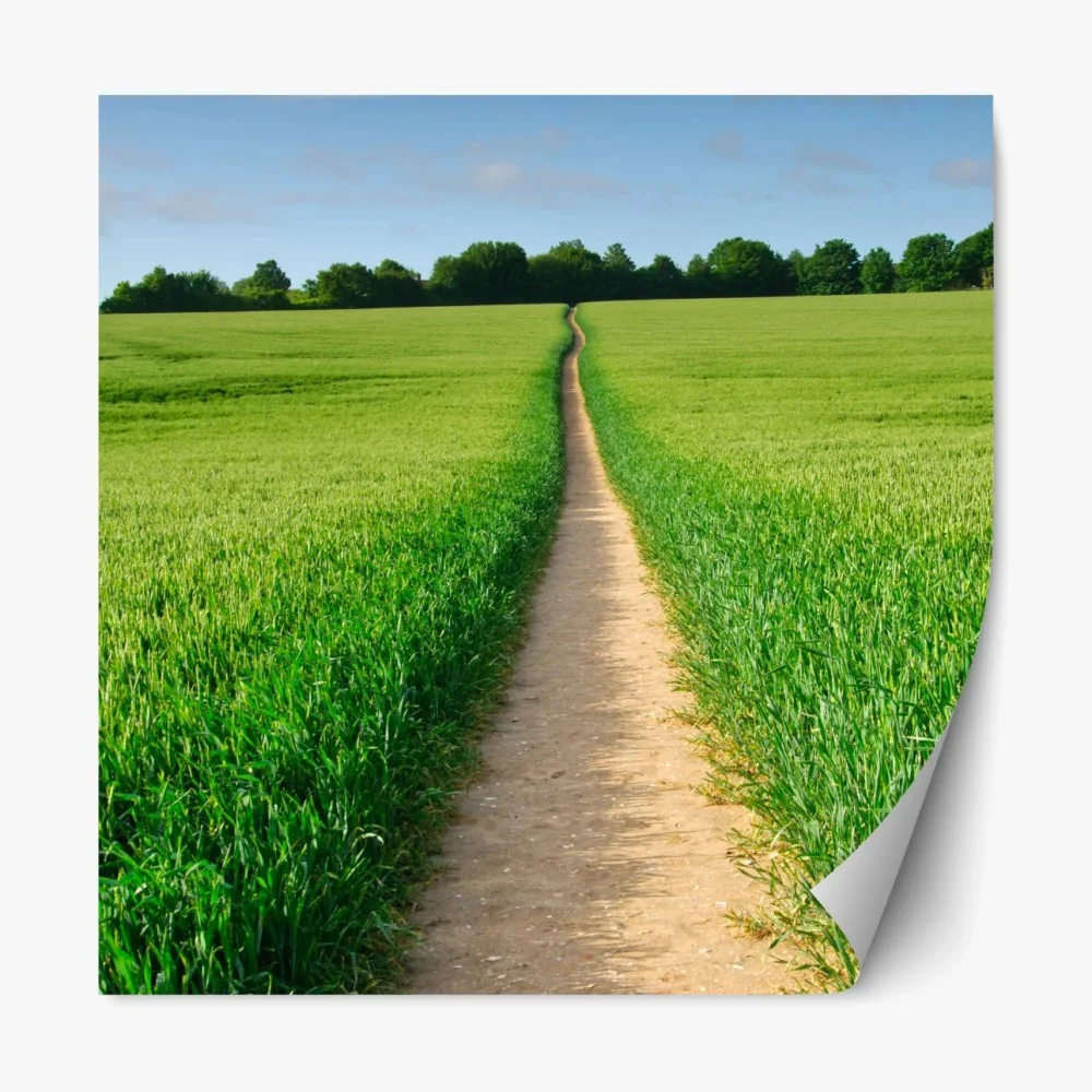 Naklejka repozycjonowalna słoneczna ścieżka przez zieloną łąkę – Wallissimo® Naklejka repozycjonowalna słoneczna ścieżka przez zieloną łąkę – Wallissimo®