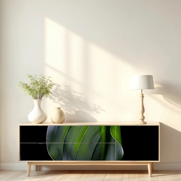 Naklejka repozycjonowalna elegancki zielony liść na czarnym tle – Wallissimo® Naklejka repozycjonowalna elegancki zielony liść na czarnym tle – Wallissimo®