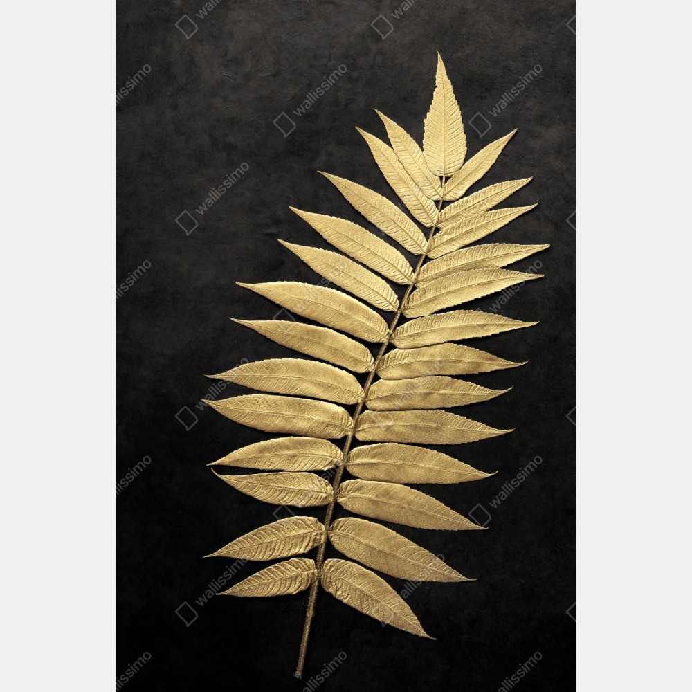 Naklejka repozycjonowalna złota paproć na ciemnym tle – Wallissimo® Naklejka repozycjonowalna złota paproć na ciemnym tle – Wallissimo®