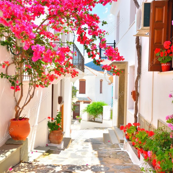 Naklejka repozycjonowalna słoneczny zaułek śródziemnomorski z bugenwillą – Wallissimo® Naklejka repozycjonowalna słoneczny zaułek śródziemnomorski z bugenwillą – Wallissimo®