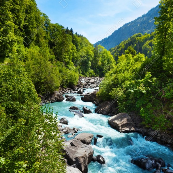 Naklejka repozycjonowalna górska rzeka w bujnej zieleni – Wallissimo® Naklejka repozycjonowalna górska rzeka w bujnej zieleni – Wallissimo®
