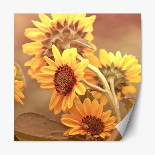 Naklejka repozycjonowalna tropikalny zachód słońca na plaży z koktajlem – Wallissimo®