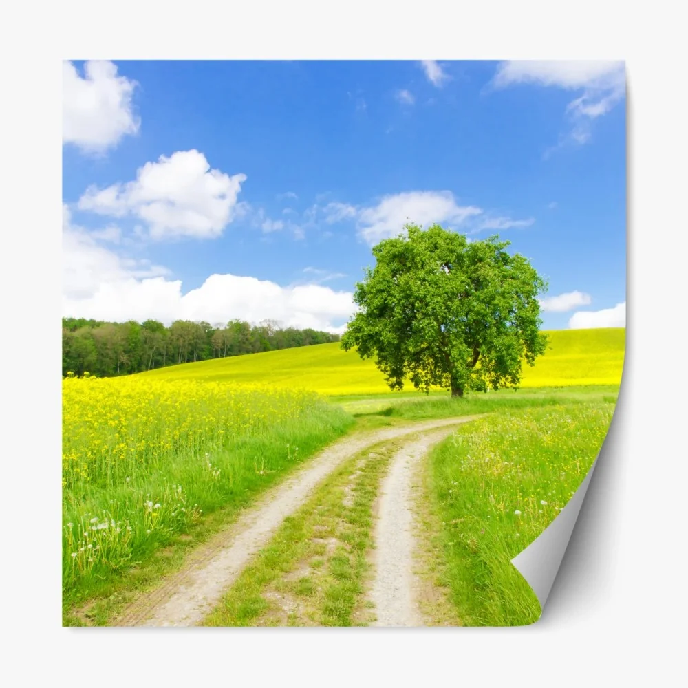 Naklejka repozycjonowalna słoneczna wiejska ścieżka z samotnym drzewem – Wallissimo® Naklejka repozycjonowalna słoneczna wiejska ścieżka z samotnym drzewem – Wallissimo®