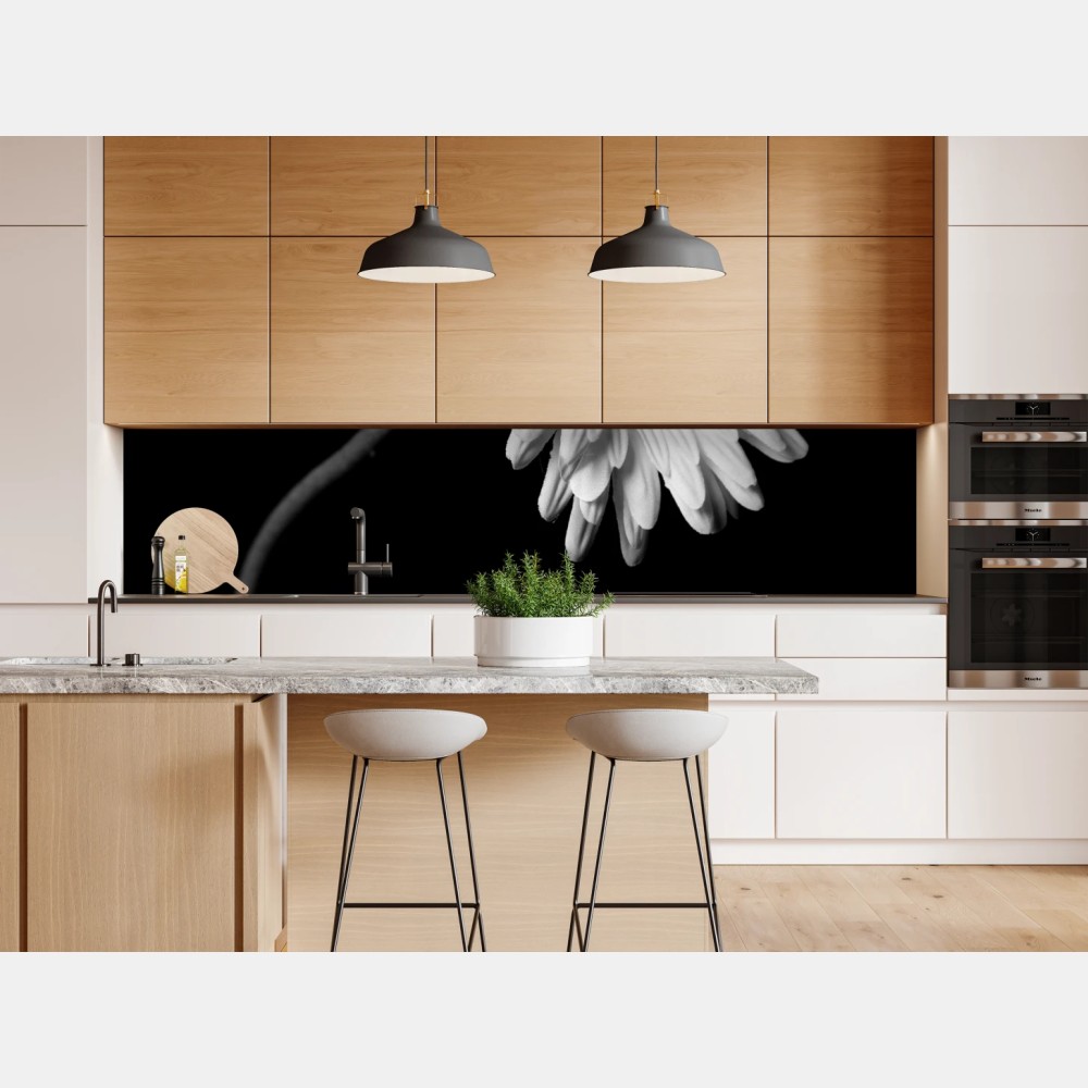 Naklejka repozycjonowalna biała gerbera na czarnym tle – Wallissimo® Naklejka repozycjonowalna biała gerbera na czarnym tle – Wallissimo®