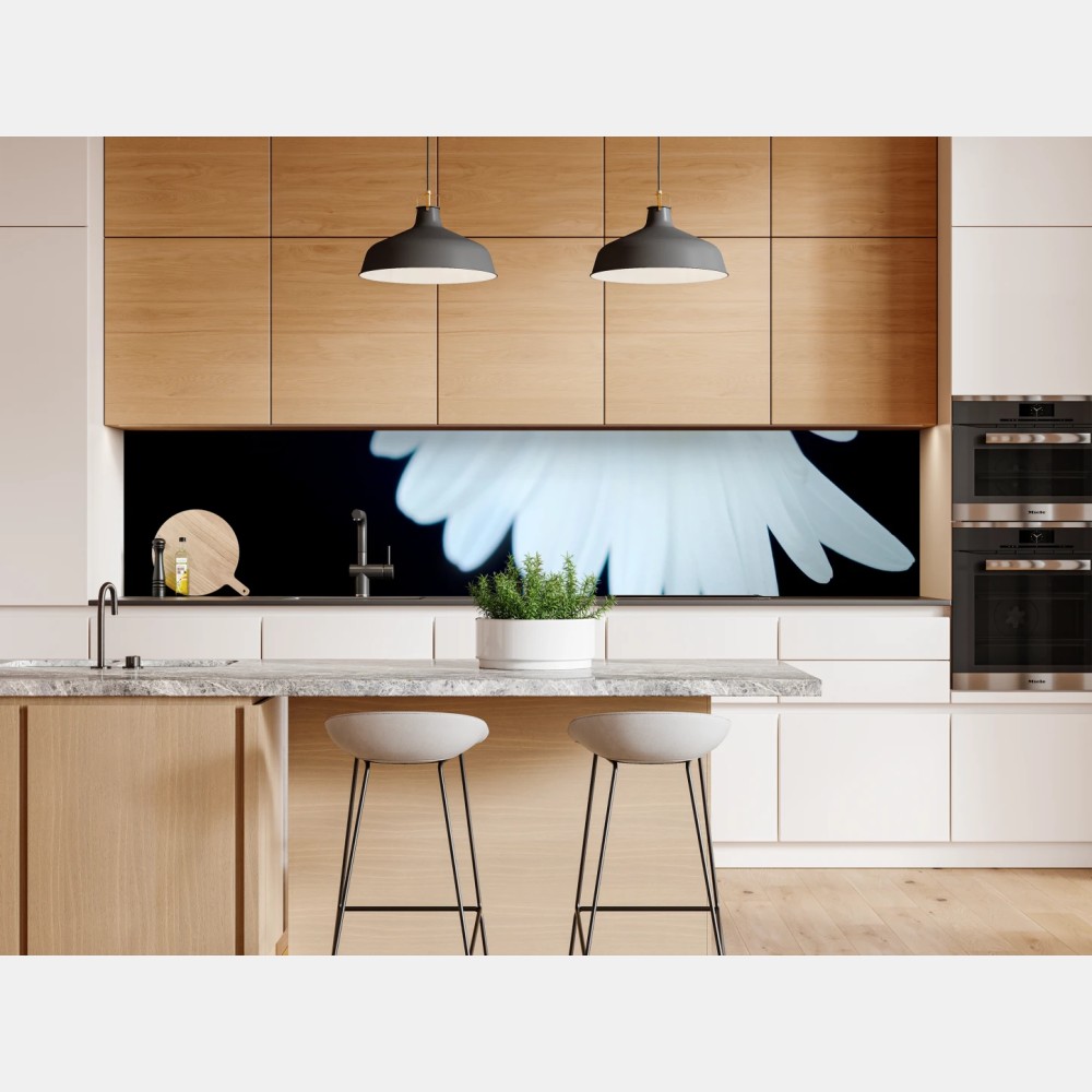 Naklejka repozycjonowalna białe zbliżenie stokrotki na czarnym tle – Wallissimo® Naklejka repozycjonowalna białe zbliżenie stokrotki na czarnym tle – Wallissimo®