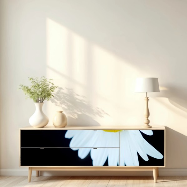 Naklejka repozycjonowalna białe zbliżenie stokrotki na czarnym tle – Wallissimo® Naklejka repozycjonowalna białe zbliżenie stokrotki na czarnym tle – Wallissimo®