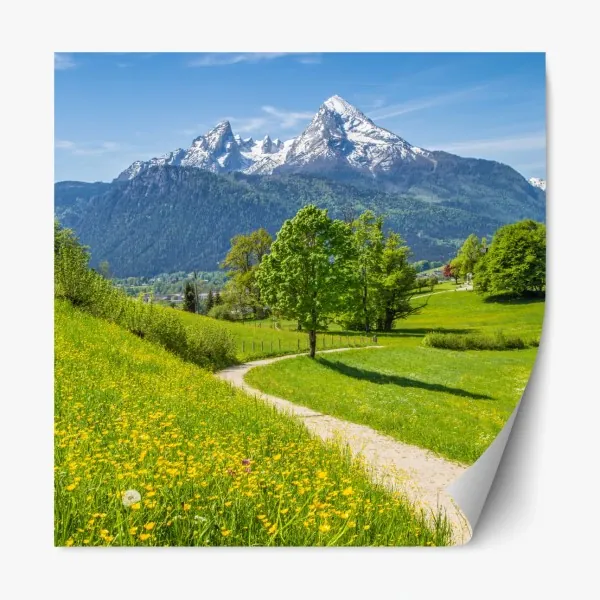 Naklejka repozycjonowalna retro koncentryczne koła – Wallissimo®