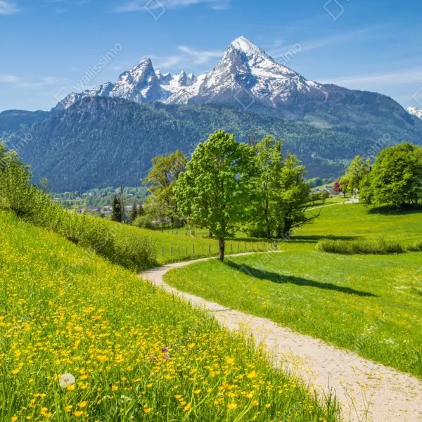 Naklejka repozycjonowalna alpejska łąka i górska ścieżka – Wallissimo® Naklejka repozycjonowalna alpejska łąka i górska ścieżka – Wallissimo®