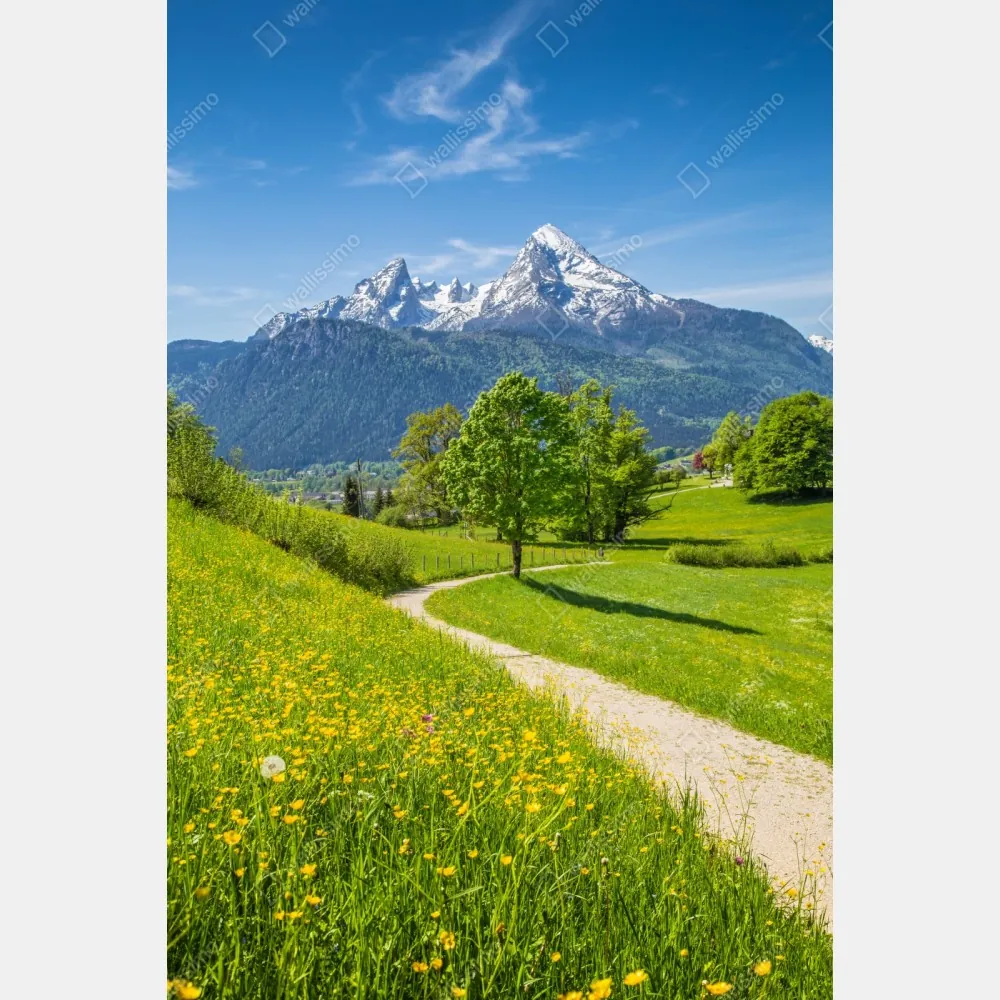 Naklejka repozycjonowalna alpejska łąka i górska ścieżka – Wallissimo® Naklejka repozycjonowalna alpejska łąka i górska ścieżka – Wallissimo®