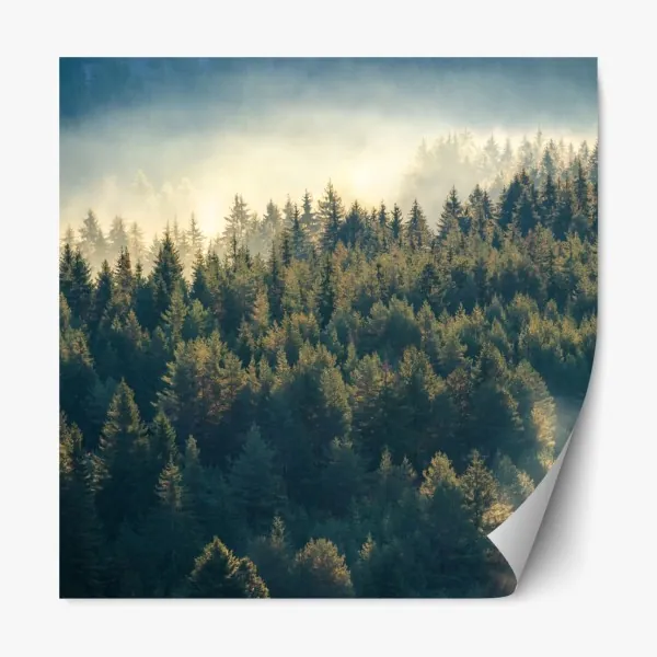 Naklejka repozycjonowalna złote odbicie dmuchawca – Wallissimo®