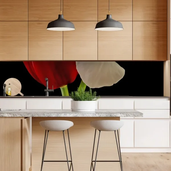 Naklejka repozycjonowalna czerwono-białe tulipany na czarnym tle – Wallissimo® Naklejka repozycjonowalna czerwono-białe tulipany na czarnym tle – Wallissimo®