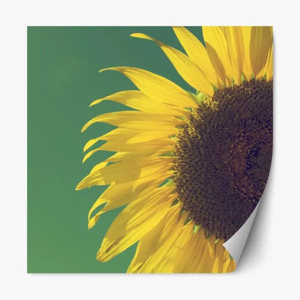 Naklejka repozycjonowalna ośnieżone szczyty odbite w jesiennym alpejskim jeziorze – Wallissimo®