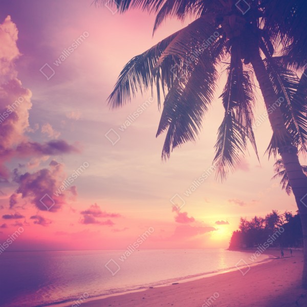 Naklejka repozycjonowalna tropikalny zachód słońca na plaży – Wallissimo® Naklejka repozycjonowalna tropikalny zachód słońca na plaży – Wallissimo®