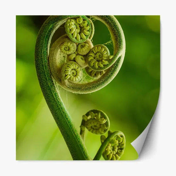 Naklejka repozycjonowalna elegancki szary wzór damasceński – Wallissimo®