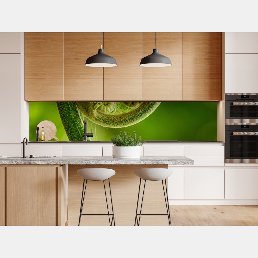 Naklejka repozycjonowalna zielony pąk paproci makro – Wallissimo® Naklejka repozycjonowalna zielony pąk paproci makro – Wallissimo®