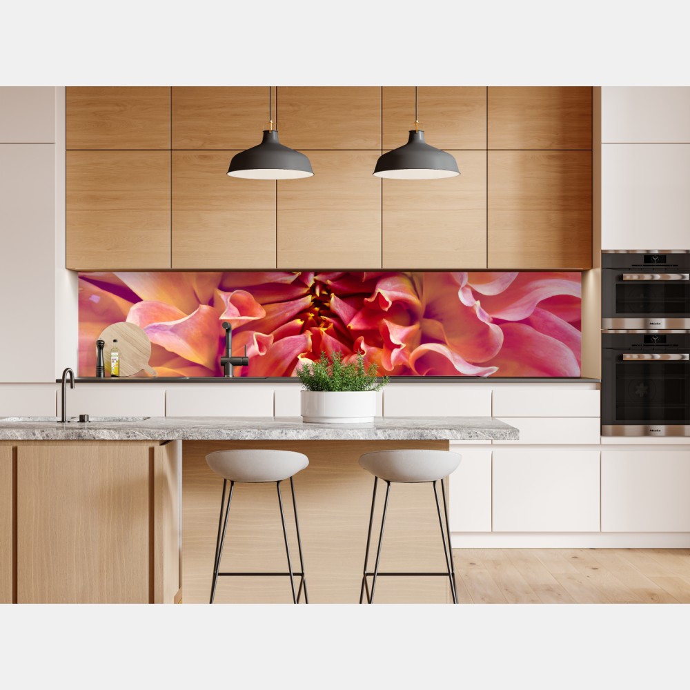 Naklejka repozycjonowalna różowa dalia w zbliżeniu – Wallissimo® Naklejka repozycjonowalna różowa dalia w zbliżeniu – Wallissimo®