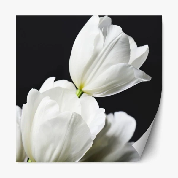 Naklejka repozycjonowalna wieża Eiffla i karuzela w Paryżu – Wallissimo®