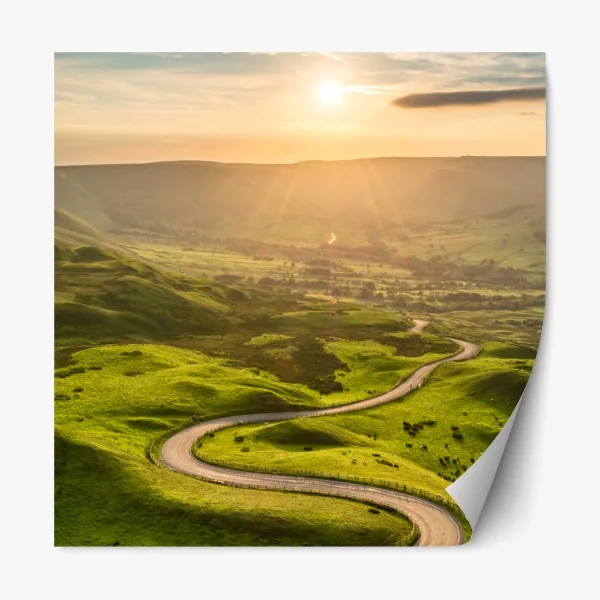 Naklejka repozycjonowalna orientalny wzór z drzewami i liśćmi – Wallissimo®