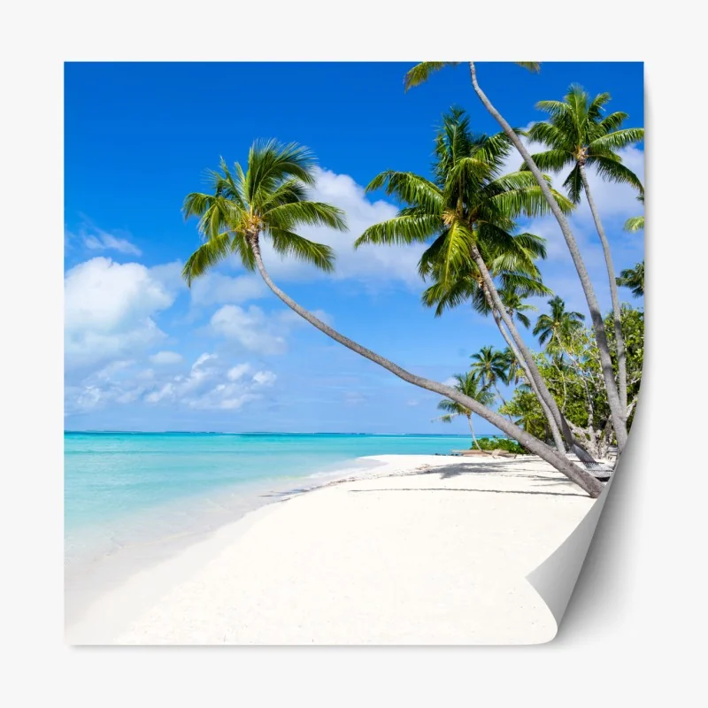 Naklejka repozycjonowalna zimowy las brzozowy ze złotym świtem – Wallissimo®