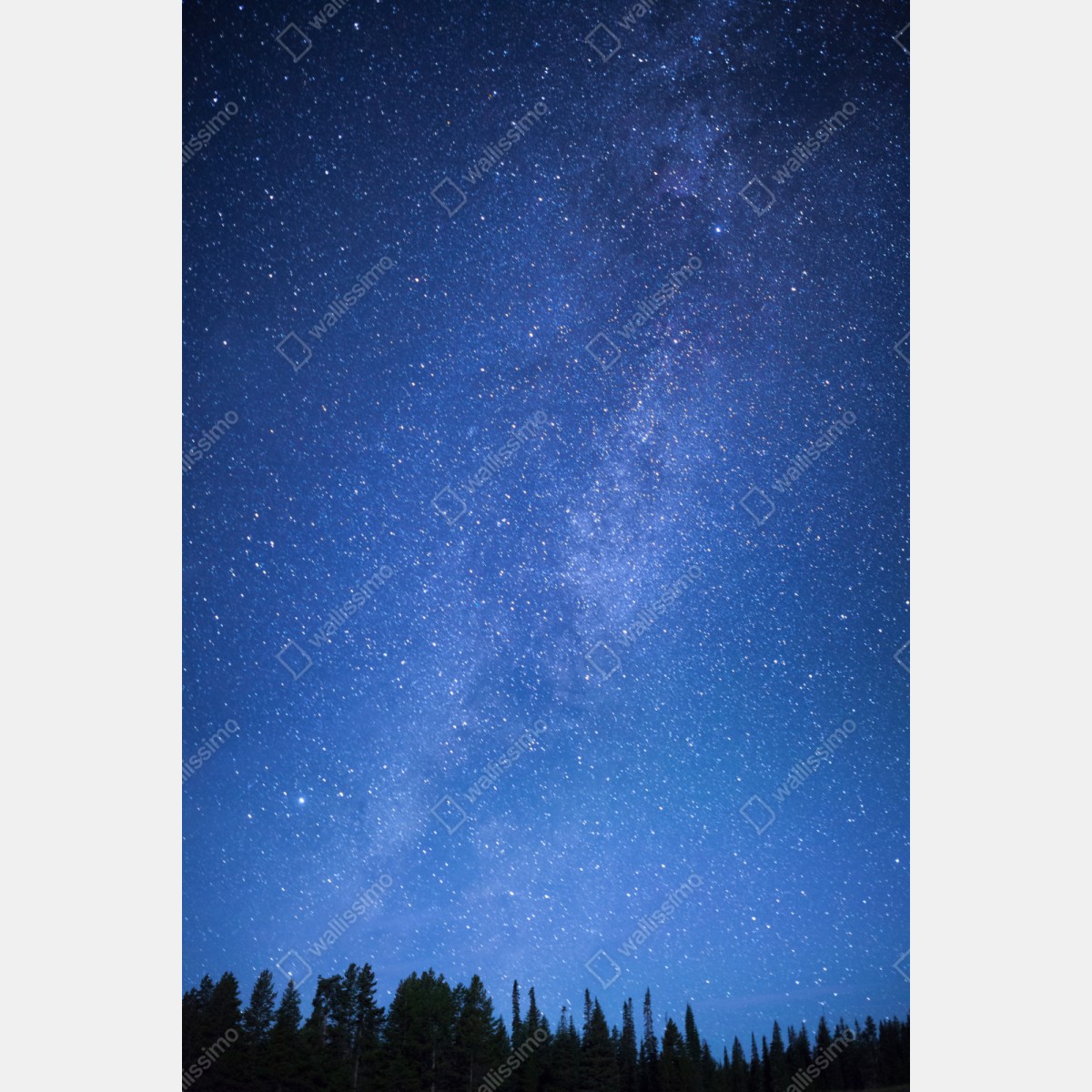 Naklejka repozycjonowalna gwiaździsta Droga Mleczna nad lasem – Wallissimo® Naklejka repozycjonowalna gwiaździsta Droga Mleczna nad lasem – Wallissimo®