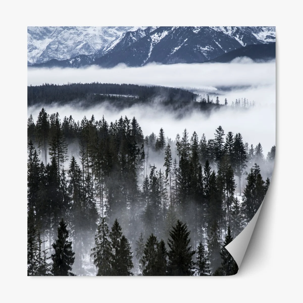 Naklejka repozycjonowalna Tatry w zimowej mgle – Wallissimo® Naklejka repozycjonowalna Tatry w zimowej mgle – Wallissimo®