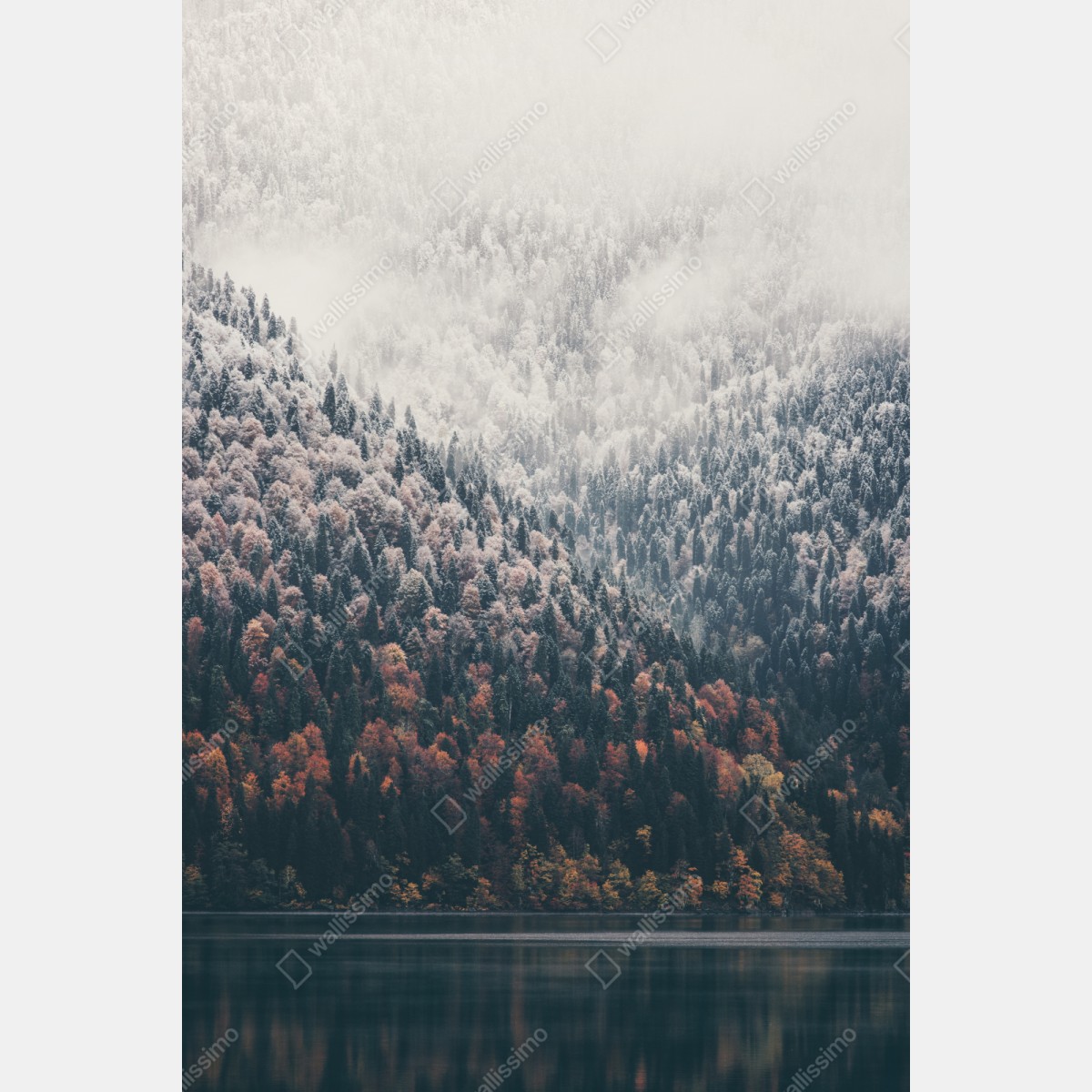 Naklejka repozycjonowalna jesienna mgła nad górskim lasem – Wallissimo® Naklejka repozycjonowalna jesienna mgła nad górskim lasem – Wallissimo®