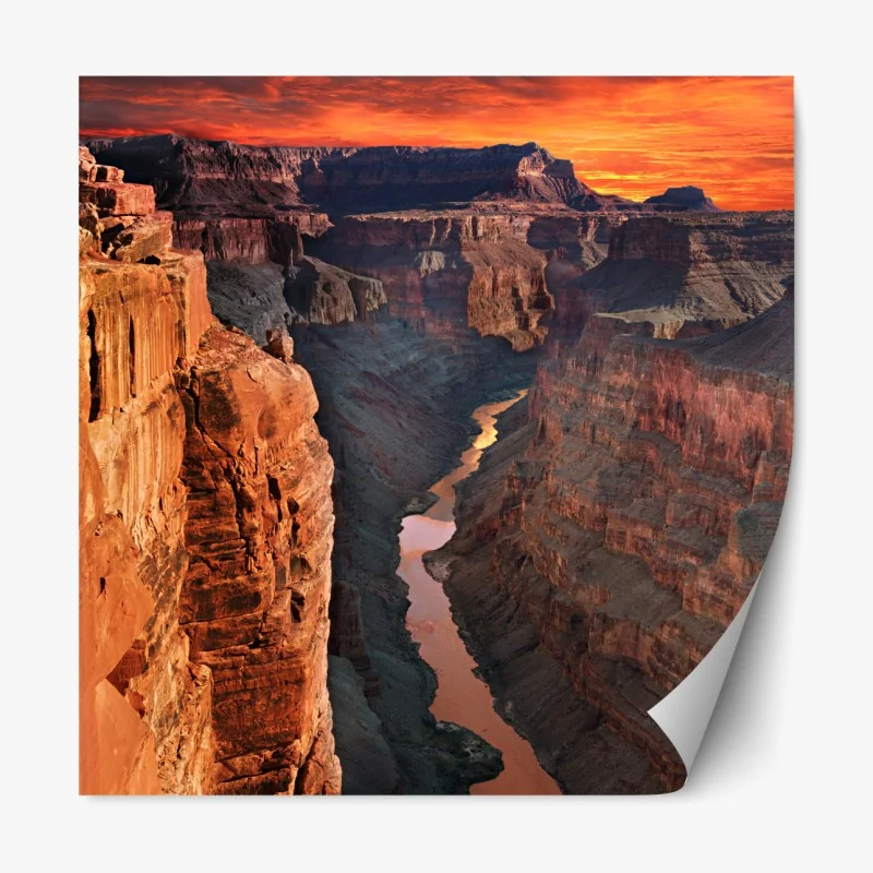 Naklejka repozycjonowalna portret czarnej pantery na czarnym tle – Wallissimo®