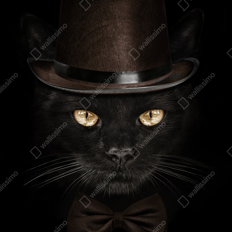 Naklejka repozycjonowalna elegancki czarny kot w cylindrze i muszce – Wallissimo® Naklejka repozycjonowalna elegancki czarny kot w cylindrze i muszce – Wallissimo®