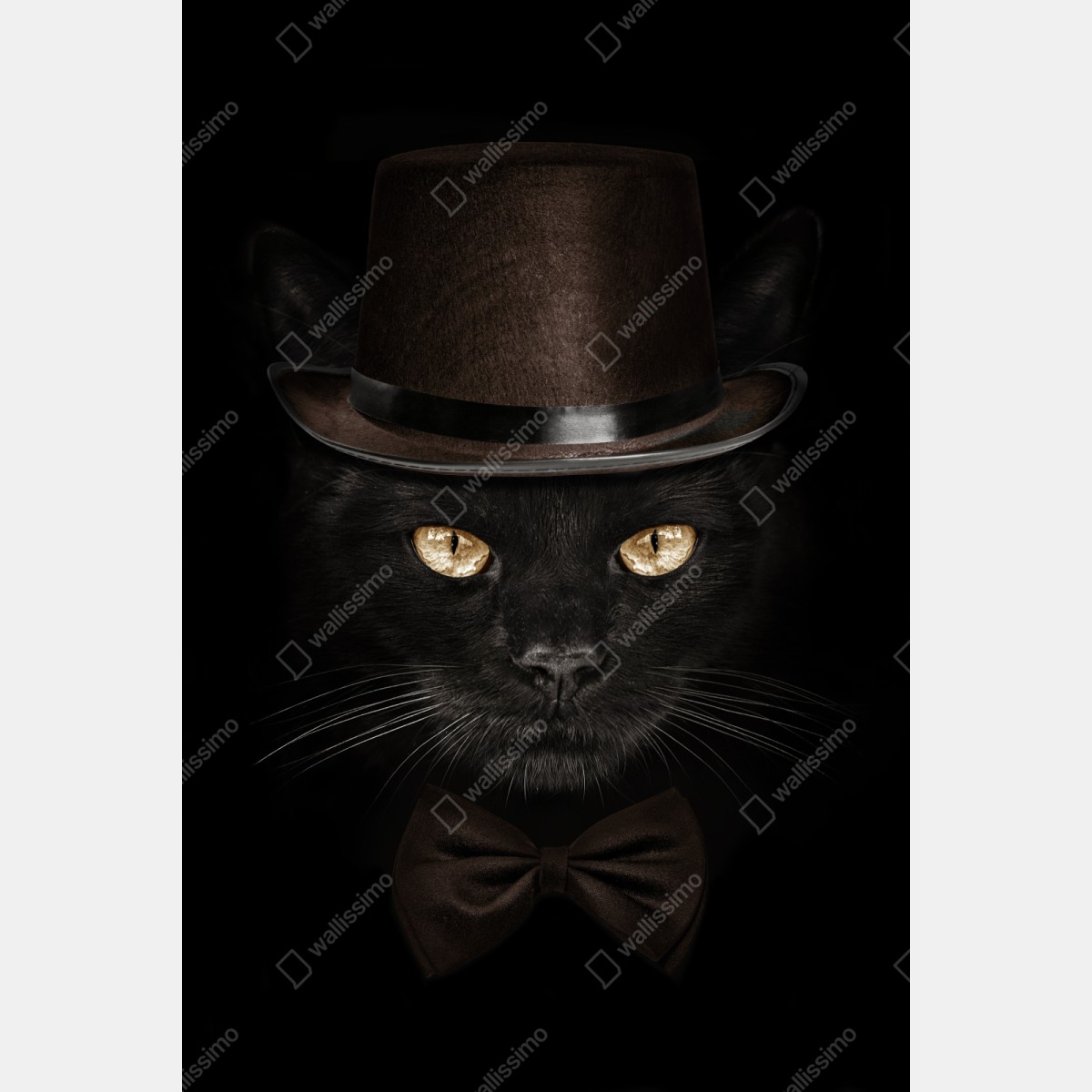 Naklejka repozycjonowalna elegancki czarny kot w cylindrze i muszce – Wallissimo® Naklejka repozycjonowalna elegancki czarny kot w cylindrze i muszce – Wallissimo®