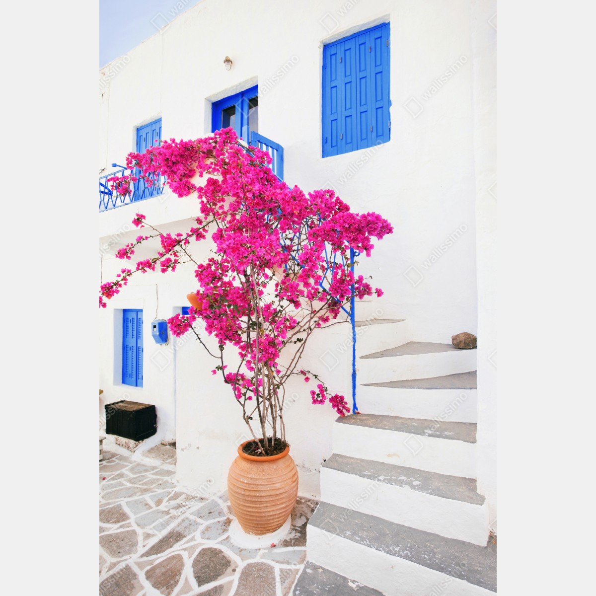 Naklejka repozycjonowalna różowa bugenwilla na białym domu na greckiej wyspie – Wallissimo® Naklejka repozycjonowalna różowa bugenwilla na białym domu na greckiej wyspie – Wallissimo®