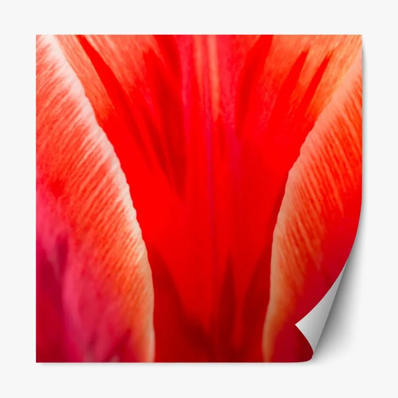 Naklejka repozycjonowalna tropikalny wzór z kakadu i kwiatami – Wallissimo®