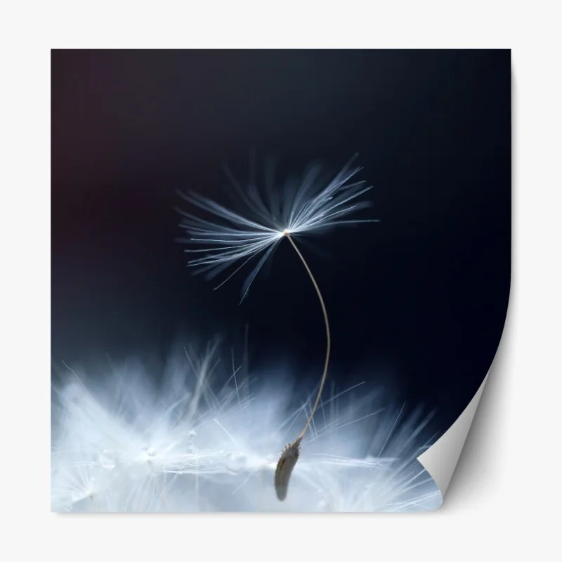 Naklejka repozycjonowalna żywe abstrakcyjne oko w stylu pop art – Wallissimo®