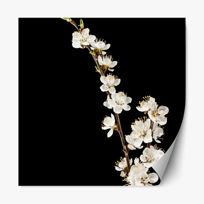 Naklejka repozycjonowalna monochromatyczny wzór łuków – Wallissimo®