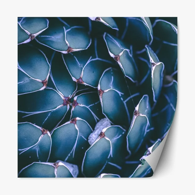 Naklejka repozycjonowalna widok z lotu ptaka na zatokę Port de Sóller – Wallissimo®