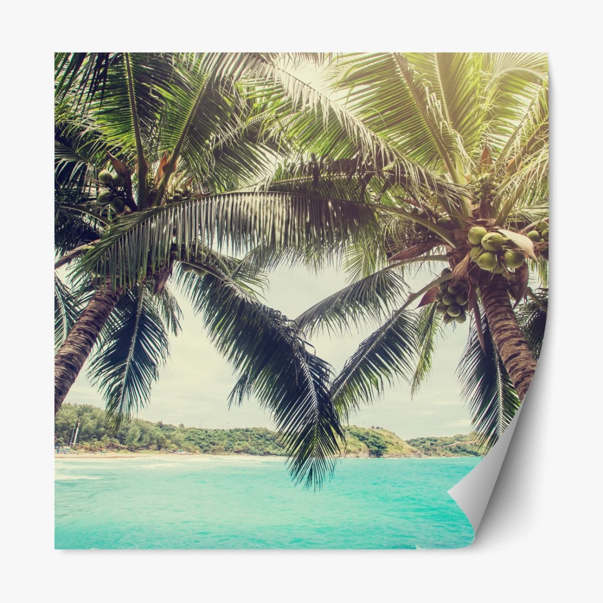 Naklejka repozycjonowalna tropikalne palmy kokosowe nad turkusowym morzem – Wallissimo® Naklejka repozycjonowalna tropikalne palmy kokosowe nad turkusowym morzem – Wallissimo®