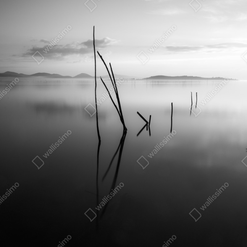 Naklejka repozycjonowalna spokojne monochromatyczne jezioro z odbiciami – Wallissimo® Naklejka repozycjonowalna spokojne monochromatyczne jezioro z odbiciami – Wallissimo®