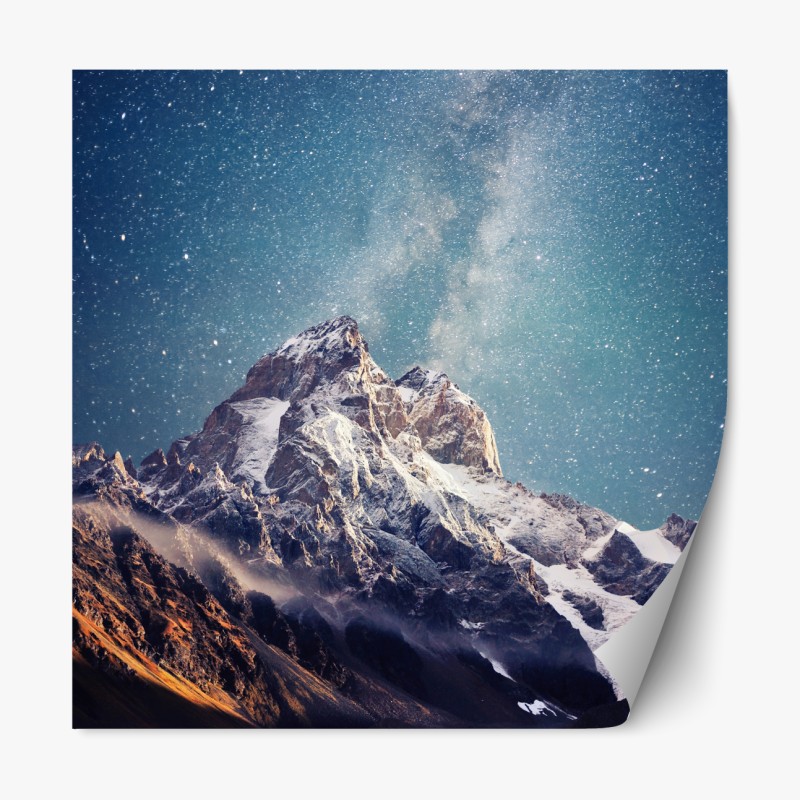 Naklejka repozycjonowalna pionowy liść palmy z bliska – Wallissimo®